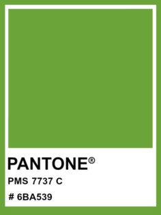 7737c